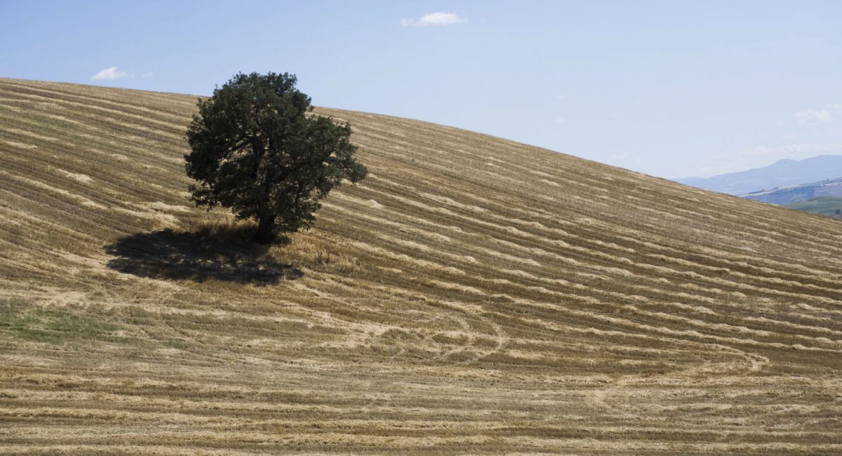 Agriculture biologique, habiter le paysage