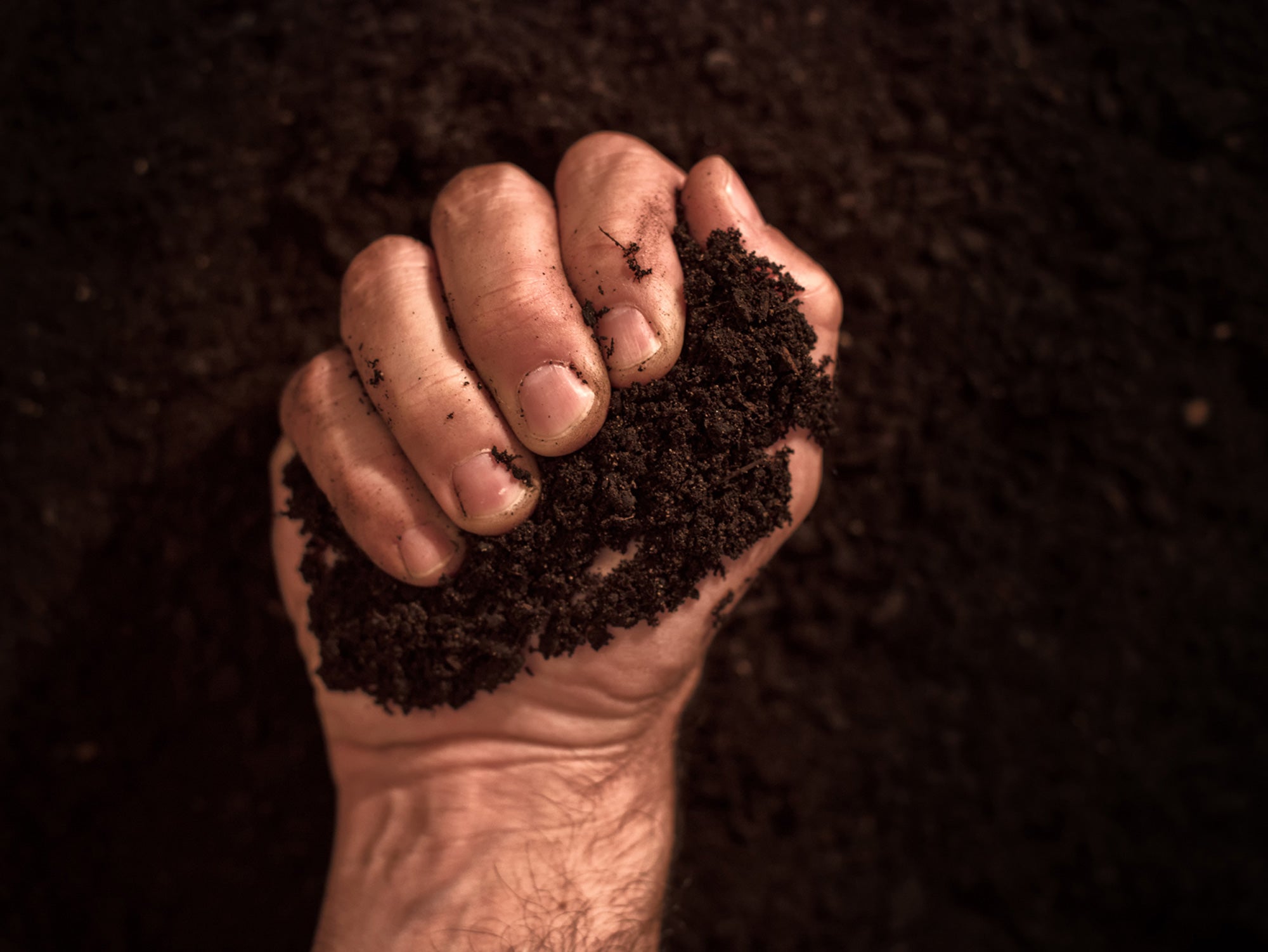 Sur l’accaparement des terres, une soif de conscience